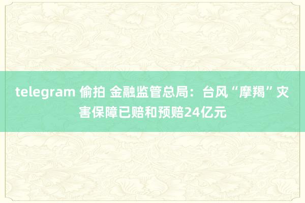 telegram 偷拍 金融监管总局：台风“摩羯”灾害保障已赔和预赔24亿元