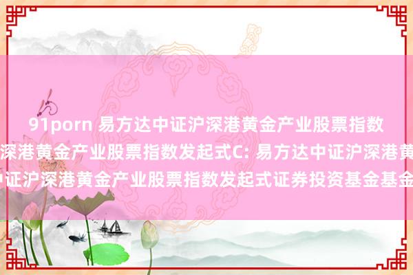 91porn 易方达中证沪深港黄金产业股票指数发起式A,易方达中证沪深港黄金产业股票指数发起式C: 易方达中证沪深港黄金产业股票指数发起式证券投资基金基金合同奏效公告