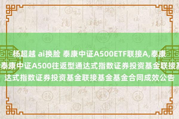 杨超越 ai换脸 泰康中证A500ETF联接A,泰康中证A500ETF联接C: 泰康中证A500往返型通达式指数证券投资基金联接基金基金合同成效公告