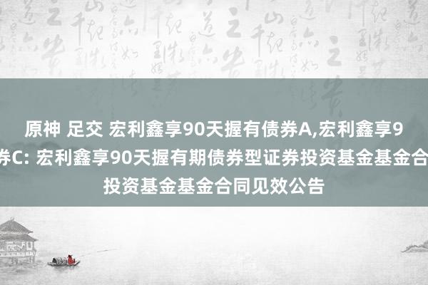 原神 足交 宏利鑫享90天握有债券A,宏利鑫享90天握有债券C: 宏利鑫享90天握有期债券型证券投资基金基金合同见效公告
