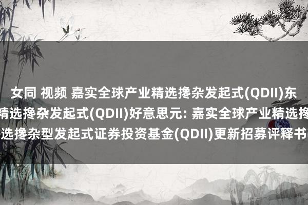 女同 视频 嘉实全球产业精选搀杂发起式(QDII)东说念主民币,嘉实全球产业精选搀杂发起式(QDII)好意思元: 嘉实全球产业精选搀杂型发起式证券投资基金(QDII)更新招募评释书(2024年11月01日更新)