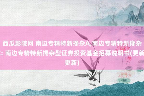 西瓜影院网 南边专精特新搀杂A,南边专精特新搀杂C: 南边专精特新搀杂型证券投资基金招募说明书(更新)