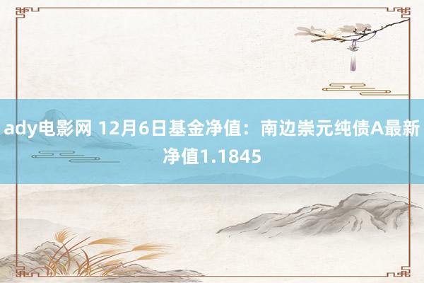 ady电影网 12月6日基金净值：南边崇元纯债A最新净值1.1845