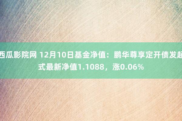 西瓜影院网 12月10日基金净值：鹏华尊享定开债发起式最新净值1.1088，涨0.06%