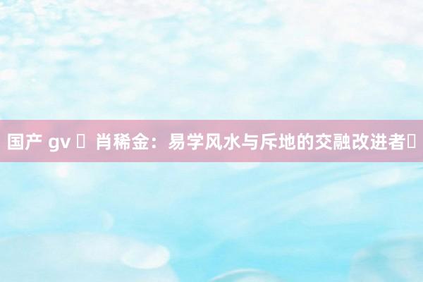 国产 gv ‌肖稀金：易学风水与斥地的交融改进者‌