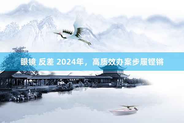 眼镜 反差 2024年，高质效办案步履铿锵
