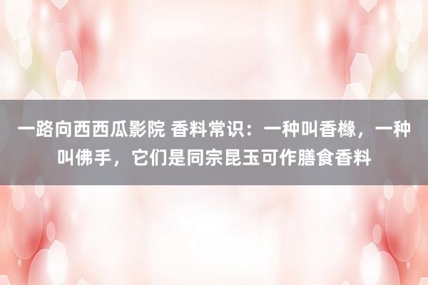 一路向西西瓜影院 香料常识：一种叫香橼，一种叫佛手，它们是同宗昆玉可作膳食香料
