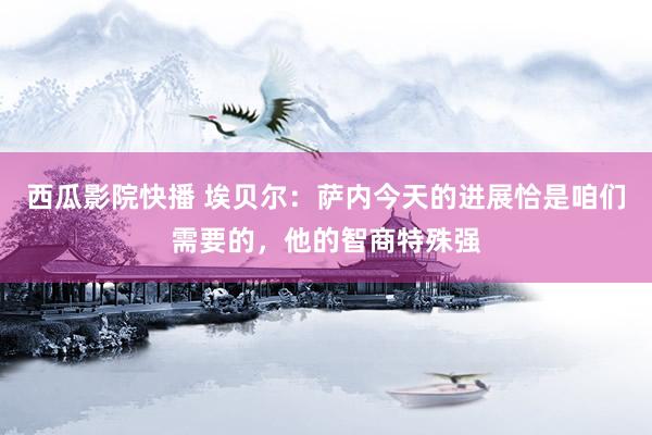西瓜影院快播 埃贝尔：萨内今天的进展恰是咱们需要的，他的智商特殊强
