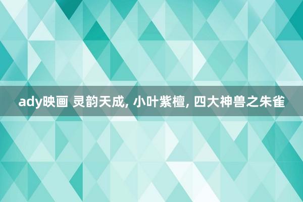 ady映画 灵韵天成， 小叶紫檀， 四大神兽之朱雀