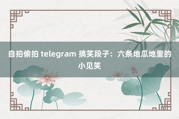 自拍偷拍 telegram 搞笑段子：六条地瓜地里的小见笑