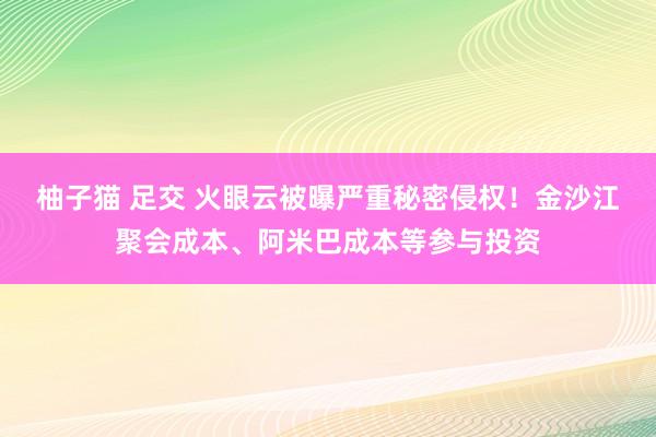 柚子猫 足交 火眼云被曝严重秘密侵权！金沙江聚会成本、阿米巴成本等参与投资