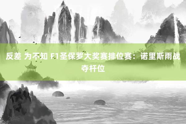反差 为不知 F1圣保罗大奖赛排位赛：诺里斯雨战夺杆位