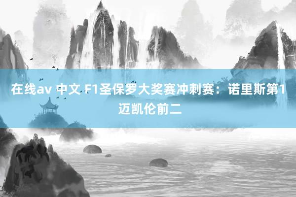 在线av 中文 F1圣保罗大奖赛冲刺赛：诺里斯第1 迈凯伦前二