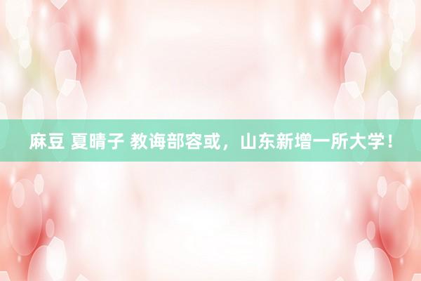 麻豆 夏晴子 教诲部容或，山东新增一所大学！