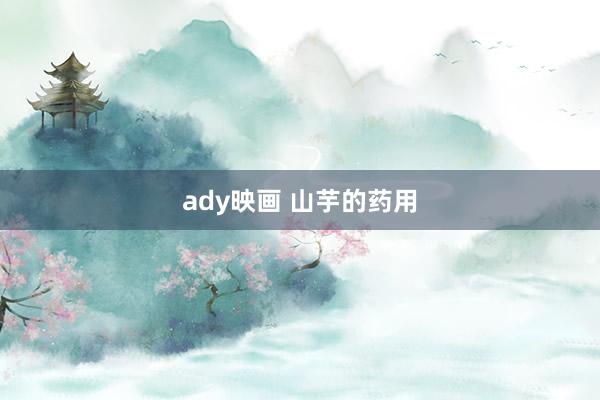 ady映画 山芋的药用
