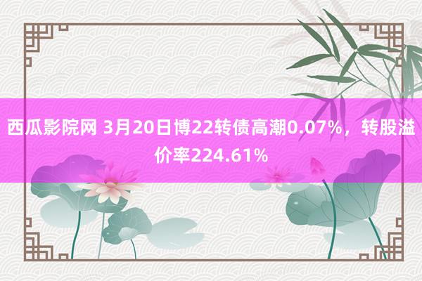 西瓜影院网 3月20日博22转债高潮0.07%，转股溢价率224.61%