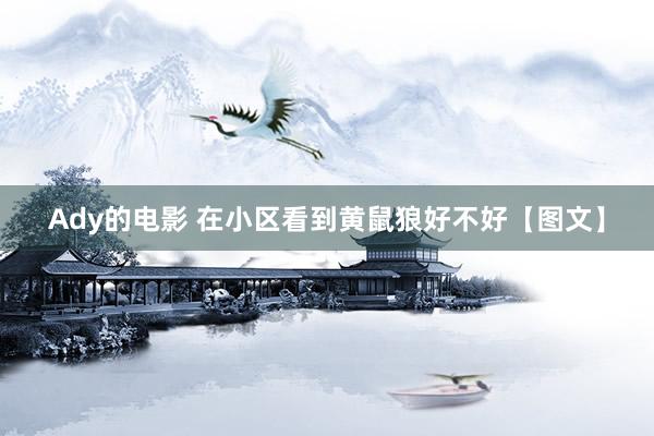 Ady的电影 在小区看到黄鼠狼好不好【图文】