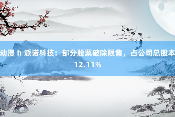 动漫 h 派诺科技：部分股票破除限售，占公司总股本12.11%
