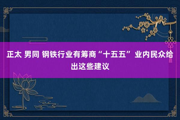 正太 男同 钢铁行业有筹商“十五五” 业内民众给出这些建议
