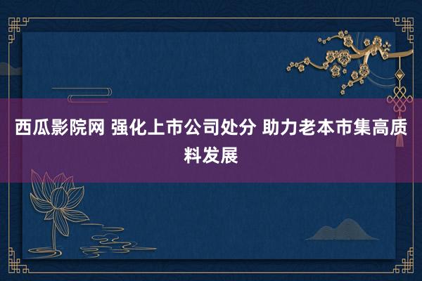 西瓜影院网 强化上市公司处分 助力老本市集高质料发展