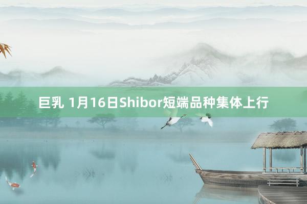 巨乳 1月16日Shibor短端品种集体上行