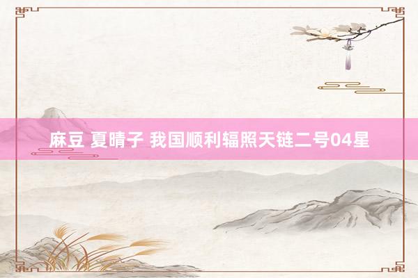 麻豆 夏晴子 我国顺利辐照天链二号04星