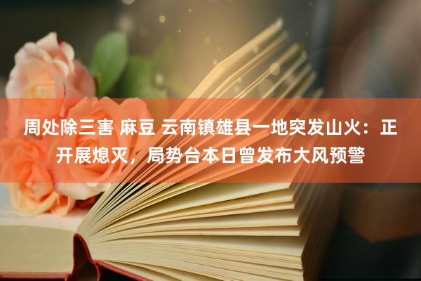 周处除三害 麻豆 云南镇雄县一地突发山火：正开展熄灭，局势台本日曾发布大风预警