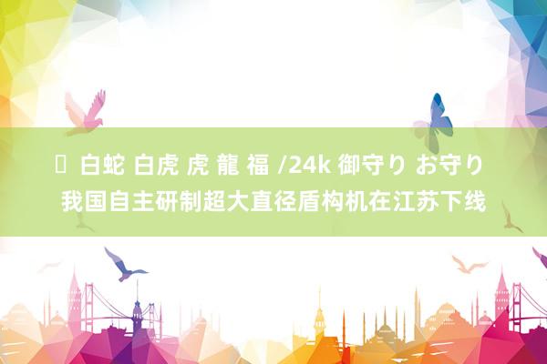 ✨白蛇 白虎 虎 龍 福 /24k 御守り お守り 我国自主研制超大直径盾构机在江苏下线