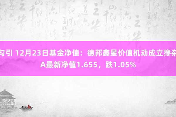 勾引 12月23日基金净值：德邦鑫星价值机动成立搀杂A最新净值1.655，跌1.05%
