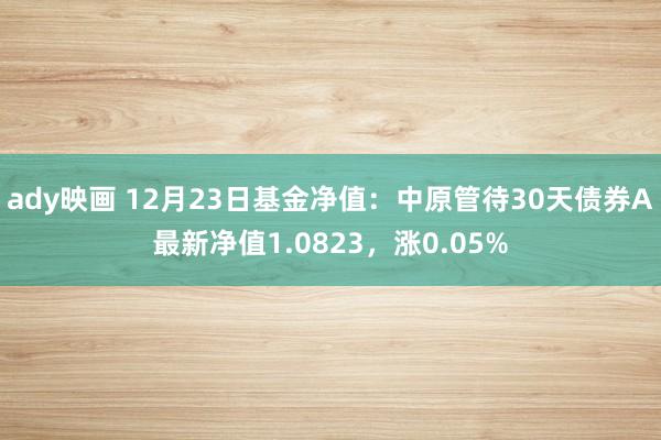 ady映画 12月23日基金净值：中原管待30天债券A最新净值1.0823，涨0.05%