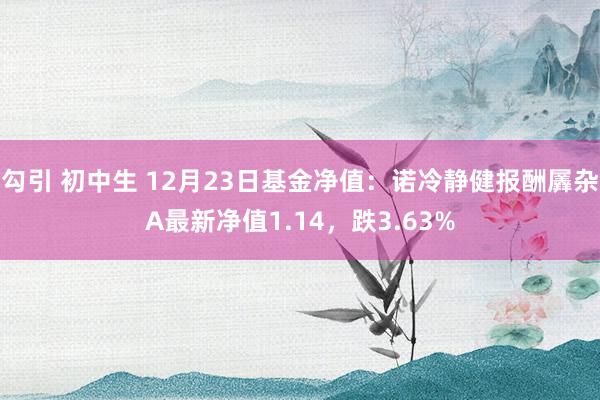 勾引 初中生 12月23日基金净值：诺冷静健报酬羼杂A最新净值1.14，跌3.63%