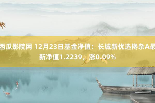 西瓜影院网 12月23日基金净值：长城新优选搀杂A最新净值1.2239，涨0.09%