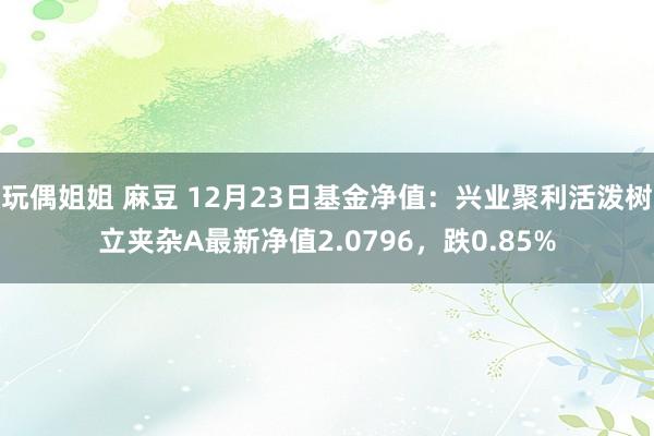 玩偶姐姐 麻豆 12月23日基金净值：兴业聚利活泼树立夹杂A最新净值2.0796，跌0.85%