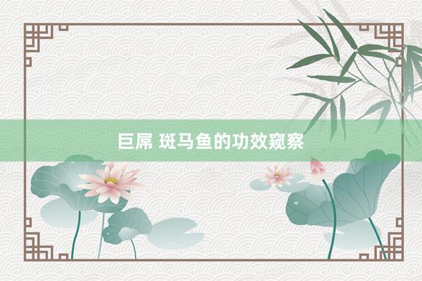 巨屌 斑马鱼的功效窥察