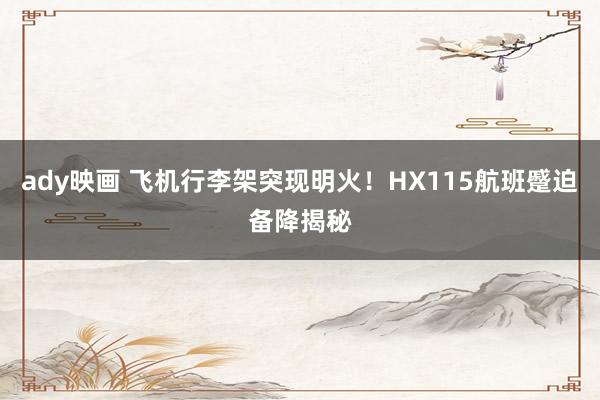 ady映画 飞机行李架突现明火！HX115航班蹙迫备降揭秘