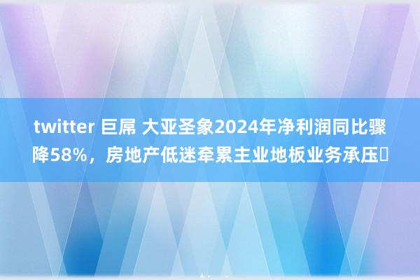 twitter 巨屌 大亚圣象2024年净利润同比骤降58%，房地产低迷牵累主业地板业务承压‌