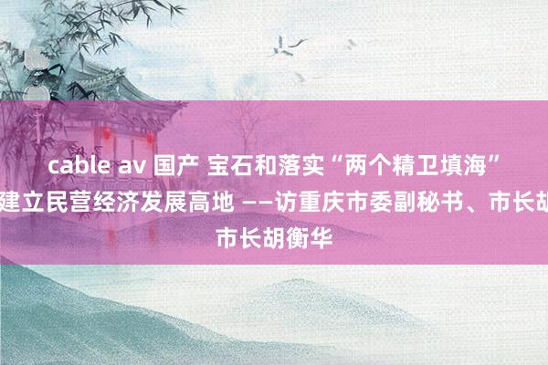cable av 国产 宝石和落实“两个精卫填海” 加速建立民营经济发展高地 ——访重庆市委副秘书、市长胡衡华
