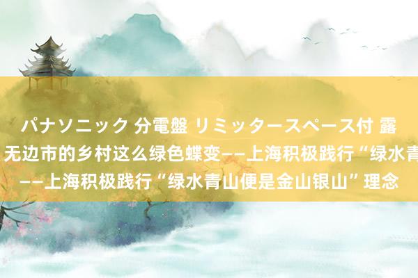 パナソニック 分電盤 リミッタースペース付 露出・半埋込両用形 看，无边市的乡村这么绿色蝶变——上海积极践行“绿水青山便是金山银山”理念