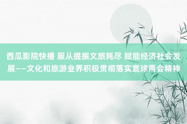 西瓜影院快播 服从提振文旅耗尽 赋能经济社会发展——文化和旅游业界积极贯彻落实寰球两会精神