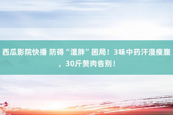 西瓜影院快播 防碍“湿胖”困局！3味中药汗漫瘦腹，30斤赘肉告别！