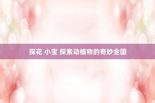 探花 小宝 探索动植物的奇妙全国