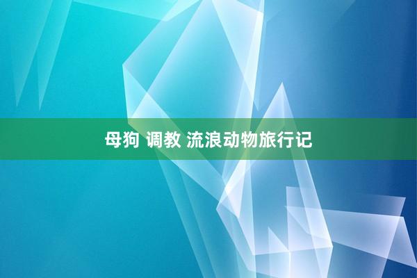 母狗 调教 流浪动物旅行记