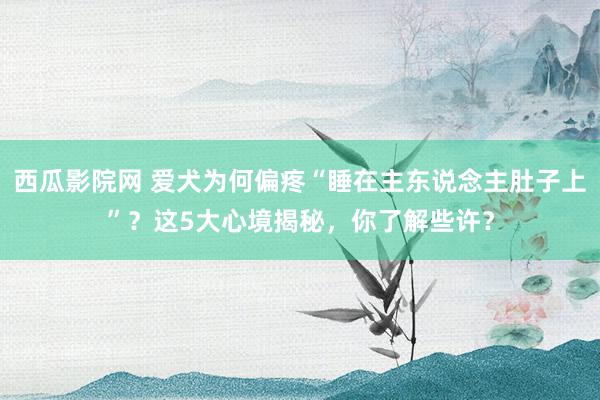 西瓜影院网 爱犬为何偏疼“睡在主东说念主肚子上”？这5大心境揭秘，你了解些许？
