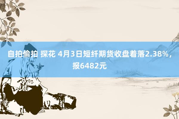 自拍偷拍 探花 4月3日短纤期货收盘着落2.38%，报6482元