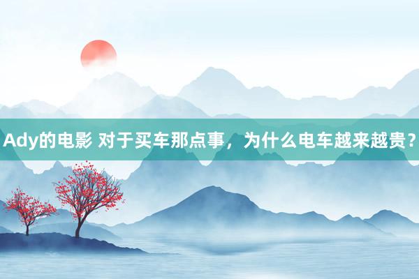 Ady的电影 对于买车那点事，为什么电车越来越贵？