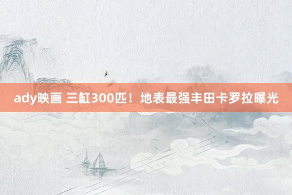 ady映画 三缸300匹！地表最强丰田卡罗拉曝光