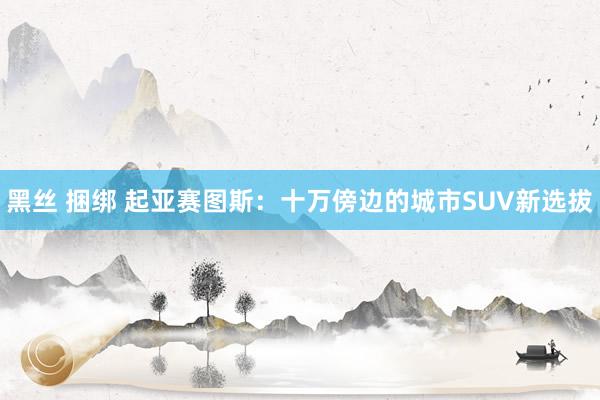 黑丝 捆绑 起亚赛图斯：十万傍边的城市SUV新选拔