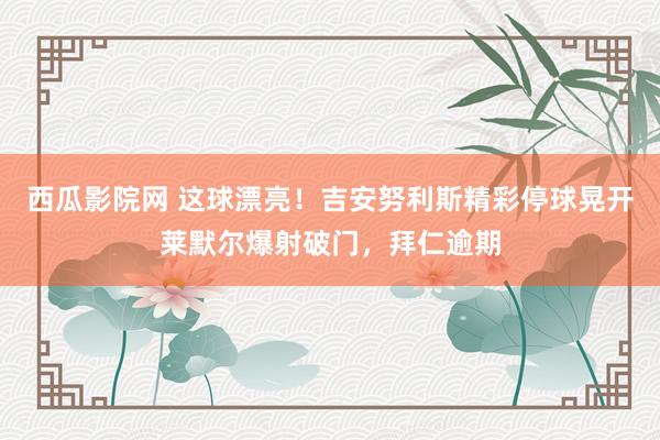 西瓜影院网 这球漂亮！吉安努利斯精彩停球晃开莱默尔爆射破门，拜仁逾期