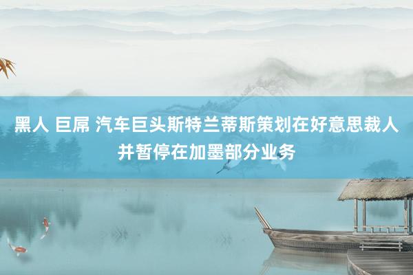 黑人 巨屌 汽车巨头斯特兰蒂斯策划在好意思裁人并暂停在加墨部分业务