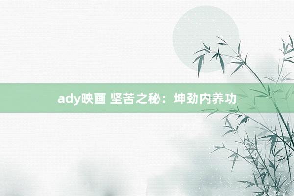 ady映画 坚苦之秘：坤劲内养功